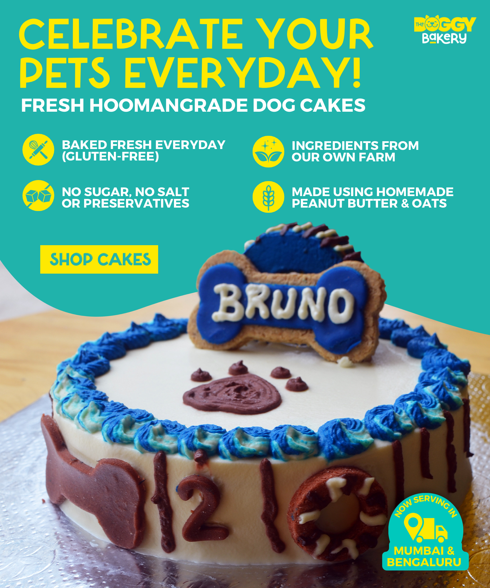 Buy dog top cake near me