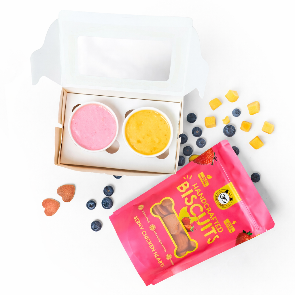 ☀️❄️ Fro-Yo Party Box 🍓🥭