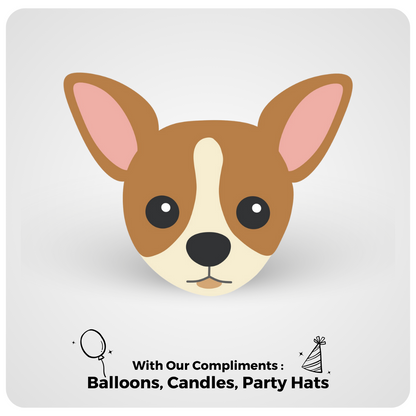 🎂 Chihuahua 🐾