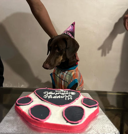 🎂 Pawlicious 🐾