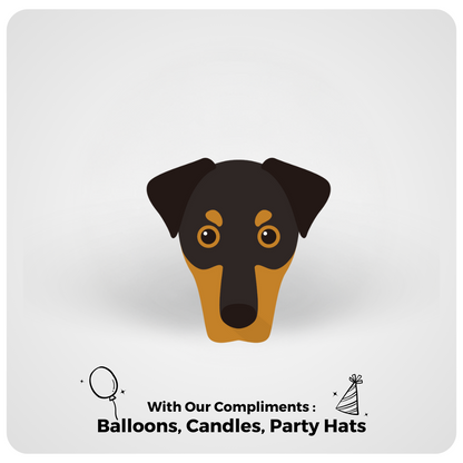 🎂 Dobermann 🐶