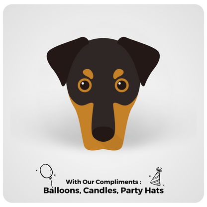 🎂 Dobermann 🐶