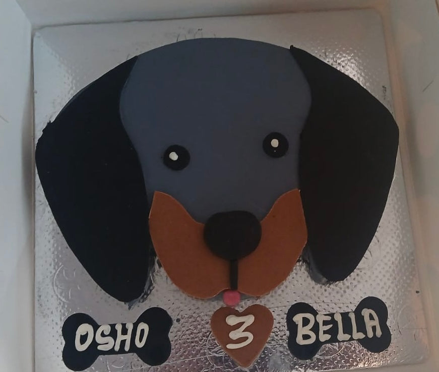 🐾 Dachshund 🎂