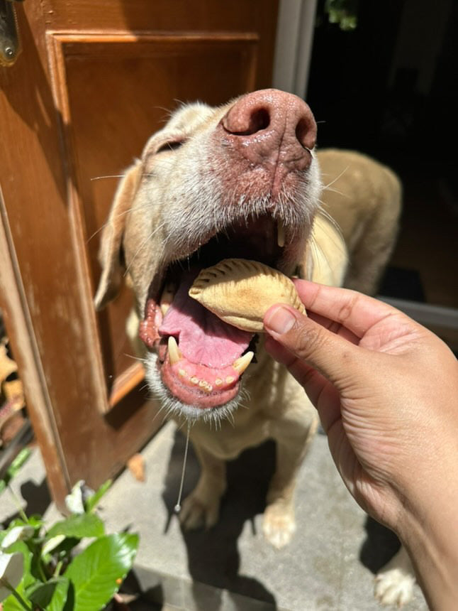 Desi Doggy Sweet Box