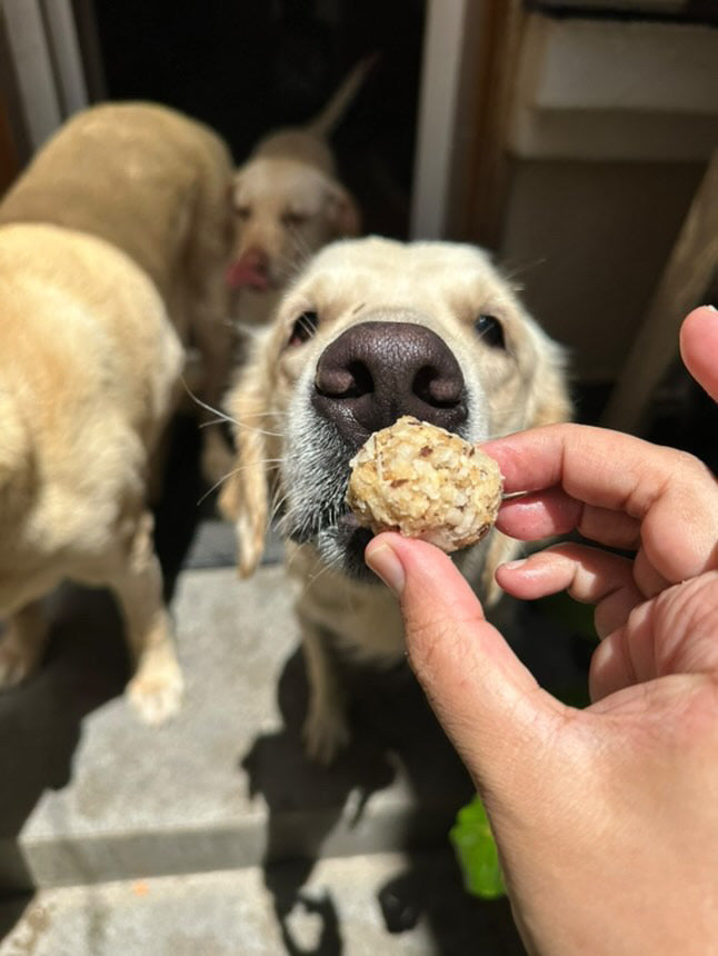 Coconut & Honey Ladoos