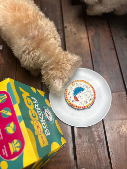 Furry Festive Diya Cake