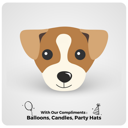🎂 Jack Russel 🐾
