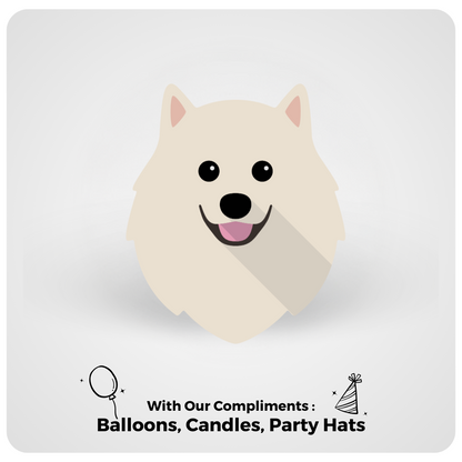 🎂 Pomeranian 🐶