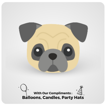 🎂 Pug 🐶