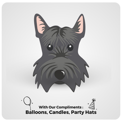 🎂 Scottish Terrier 🐶