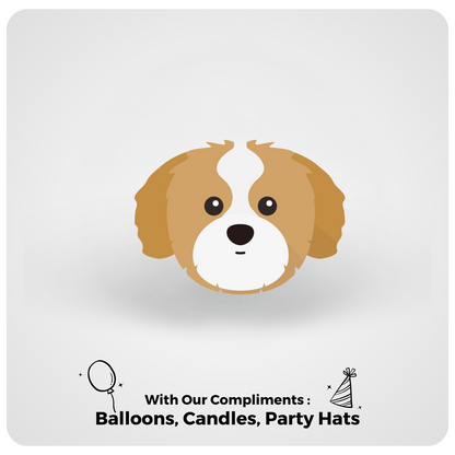 🎂 Shih Tzu 🐶