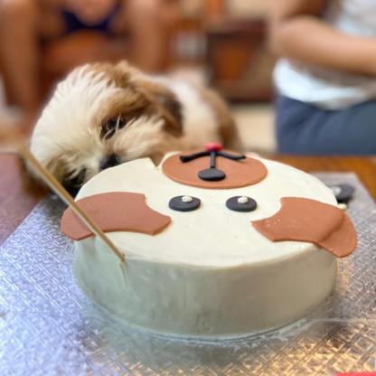 Doggo Cake