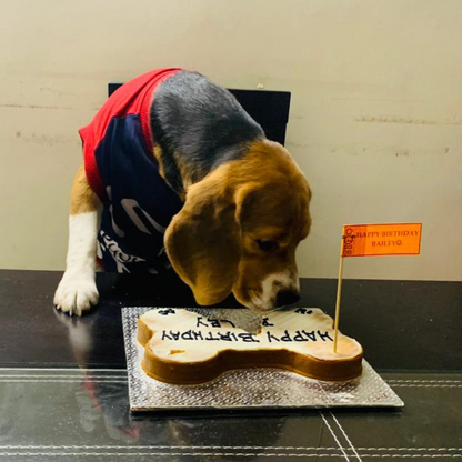 Bone Appetit