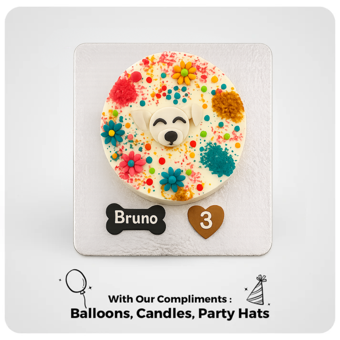 Festival of Colours Bowto Cake