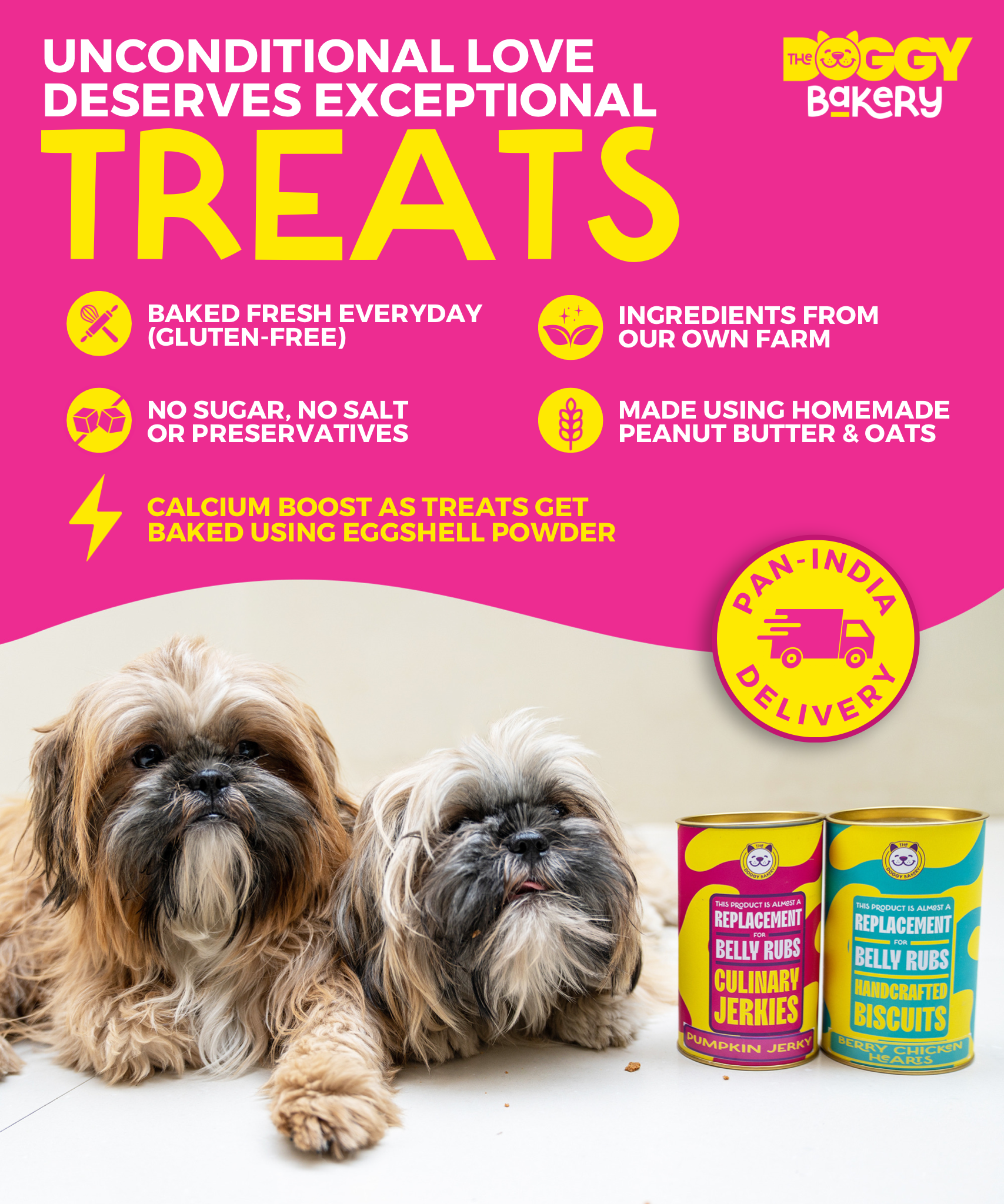 The Doggy Bakery Your One Stop Shop For The Best Dog Cakes Treats