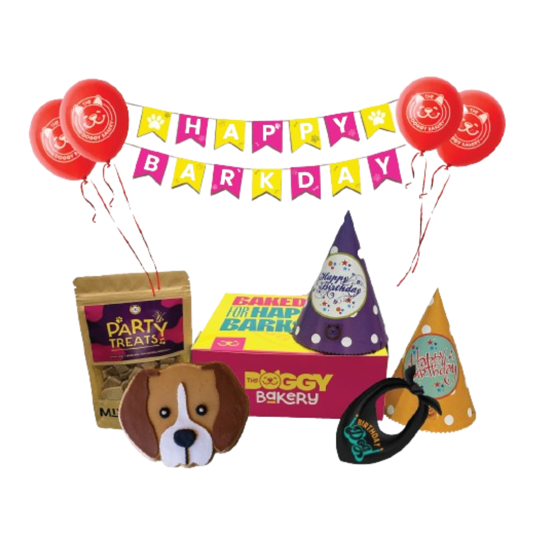 Breed Birthday Cake Hamper w/ Bandana