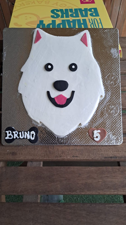 🎂 Pomeranian 🐶
