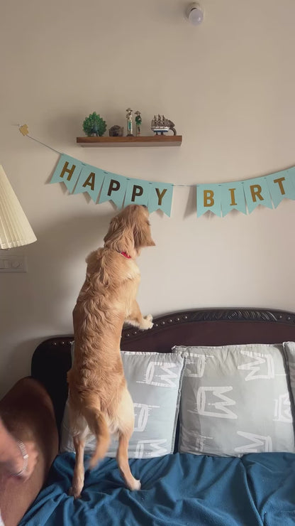 Mutt Munch