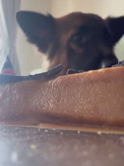 🎂 German Shepherd 🐶