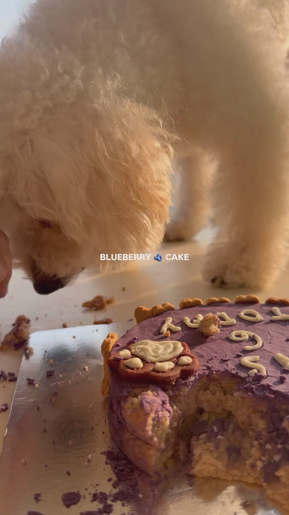 Tailored Blueberry Cake