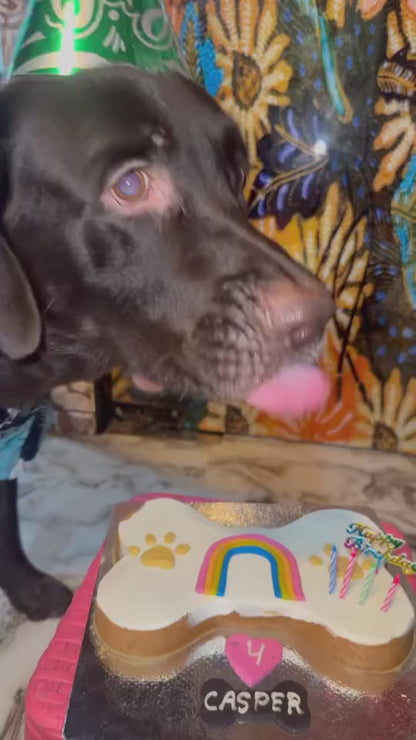 Prideful Pooch
