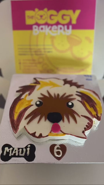 🎂 Maltese 🐶