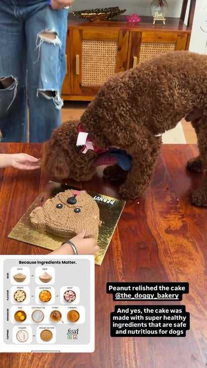 🥜 Peanut Butter Poodle 🎂