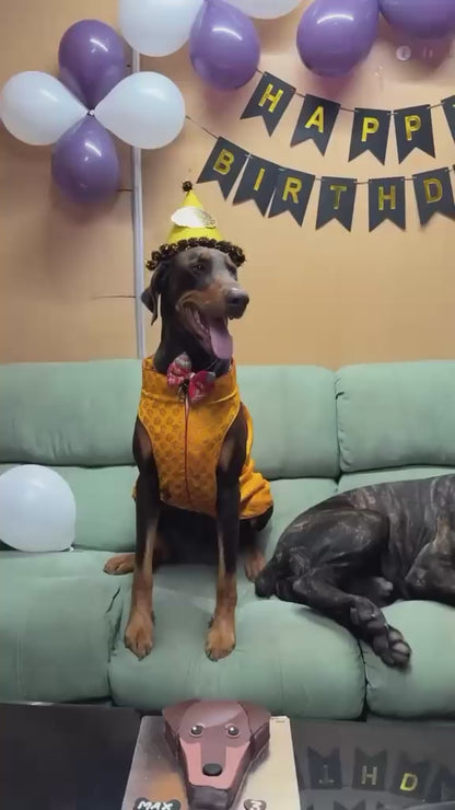 🎂 Dobermann 🐶