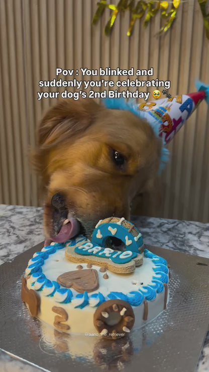 🎂 Show Me The Boney 🦴