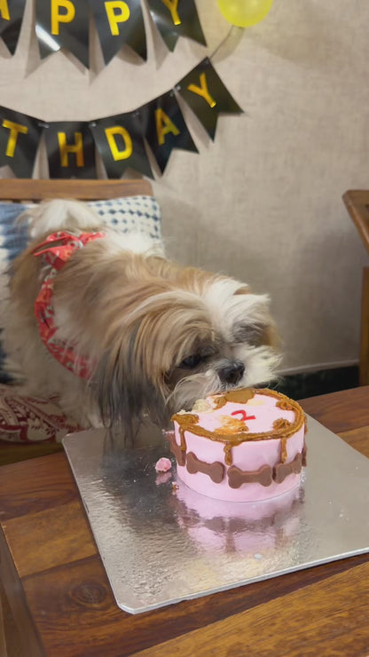 🥜 Peanut Butter Bowto 🎉