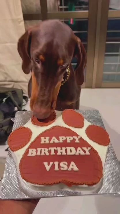🎉 Pawsome 2. 🐾