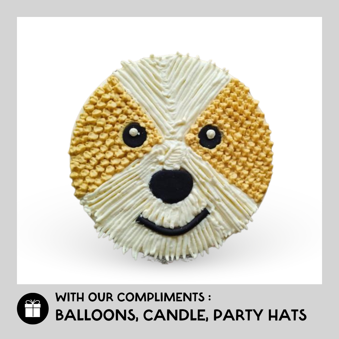 Funny Shih Tzu Birthday Dog with Cake and Hat. Stock Image - Image of  furry, joke: 126685491