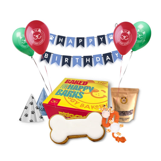 Dog Birthday Cake Hamper w/ Toy