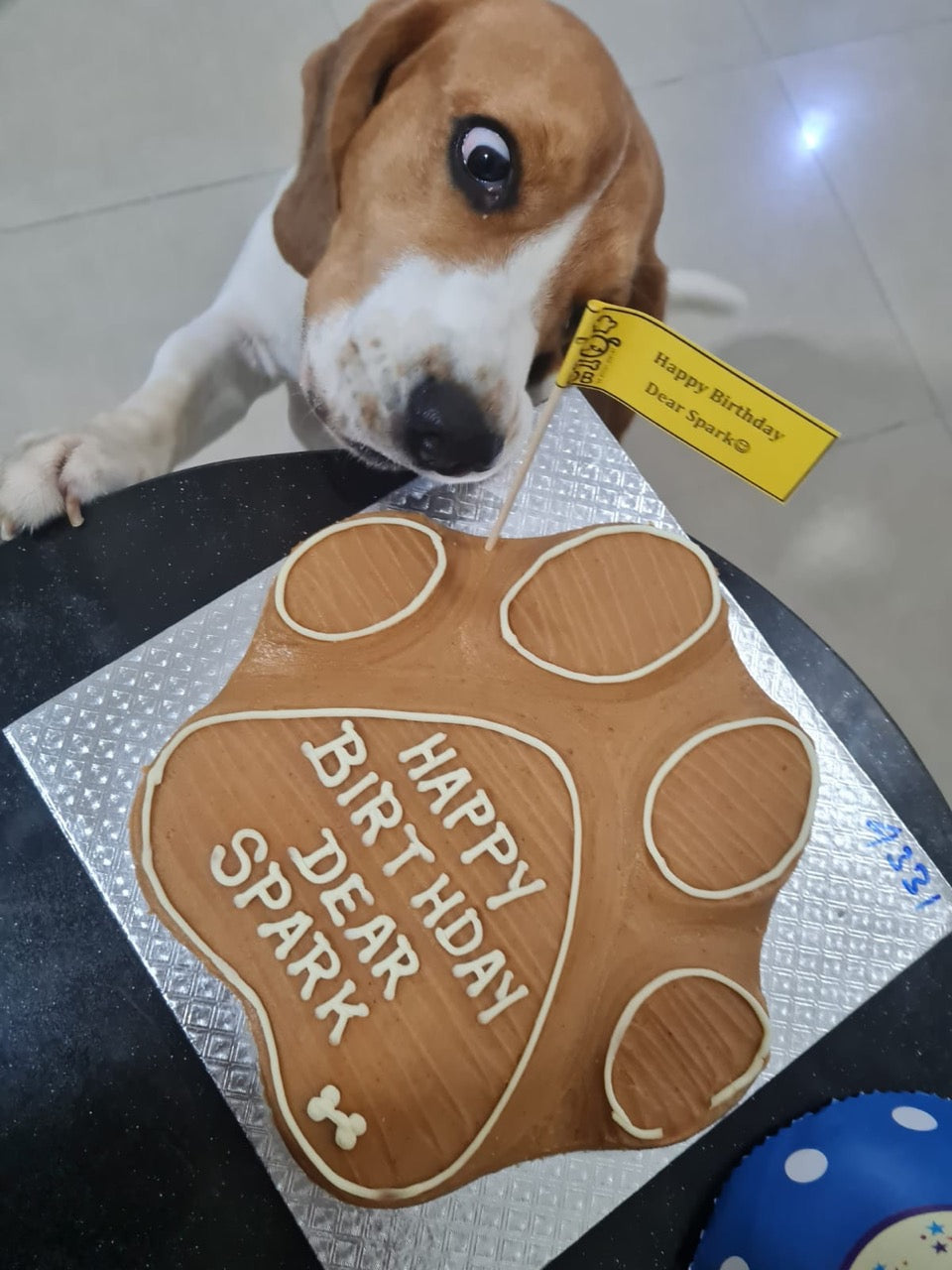 Dog enjoying a Gluten Free Dog Cake 