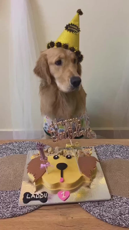 ✨ Golden Retriever 🐶