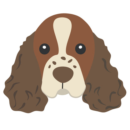🐶 Basset Hound 🎂