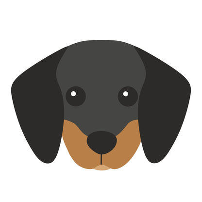 🐾 Dachshund 🎂